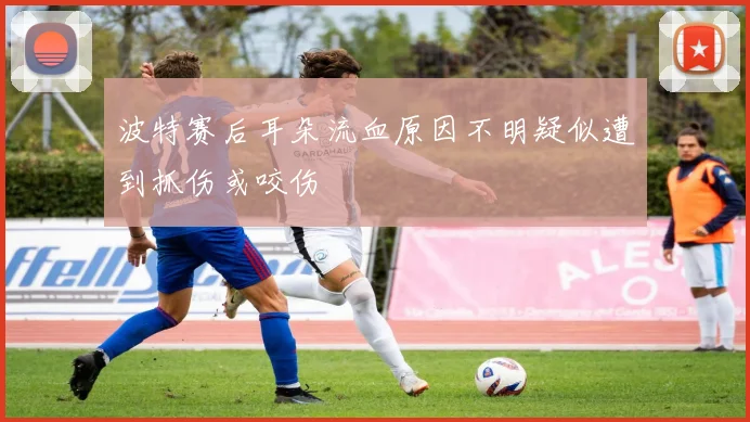 波特赛后耳朵流血原因不明疑似遭到抓伤或咬伤