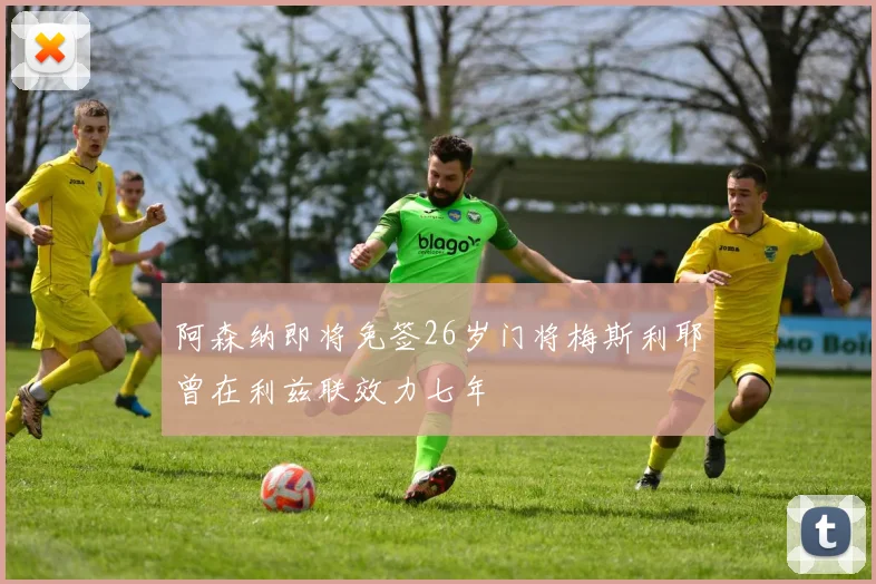 阿森纳即将免签26岁门将梅斯利耶曾在利兹联效力七年